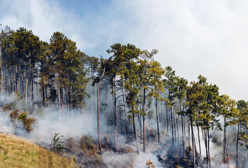 Smokey wildfire spreading through forest, affecting indoor air quality. Learn how our HVAC services in Coeur d'Alene, Post Falls, and Hayden, ID, can help improve indoor air quality during wildfires. Professional electrician and HVAC technician near me. Contact us to schedule an appointment for indoor air quality IAQ duct cleaning near me in Coeur d'Alene, CDA, Post Falls, Hayden, Rathdrum, Sandpoint, Spirit Lake, St Maries, Athol, Blanchard, Dalton Gardens, Worley, Plummer, or Harrison, ID. Expert assistance for furnace or ac repair, maintenance and installation. Contact J.A. Bertsch Heating and Cooling today for boiler, heat pump, furnace or air conditioning service.